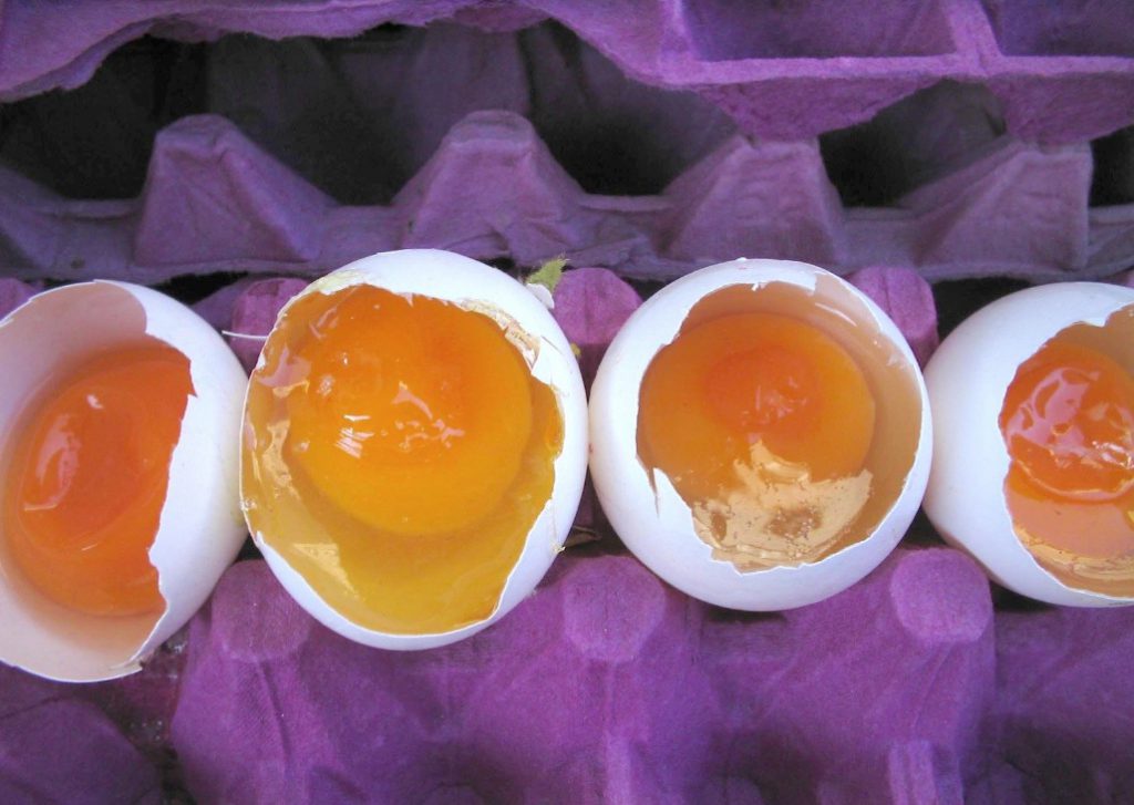 Understanding the Causes of a Rotten Egg Smell in Hot Water Miracle